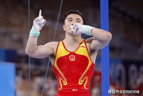 吊环之上，他是静止的王者—记奥运会体操吊环冠军的荣耀之路