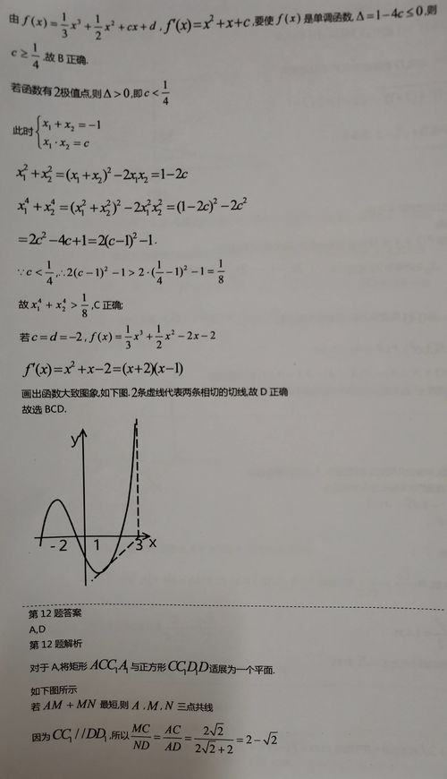 为什么足球的黑白块之比是3:5？一个关于数学、设计与历史的答案