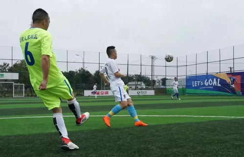 2026亚洲杯女排半决赛赛程出炉，巅峰对决，一触即发